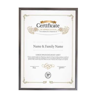 Waybom Wholesale High Quality Metal Aluminum Graduation Certificate  A4 Diploma Frames