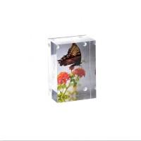 Lucite Acrylic Mini Photo Frame